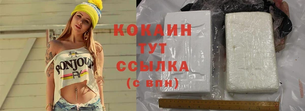 прущие грибы Медногорск