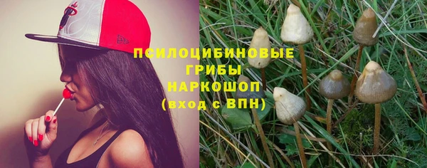 СК Надым