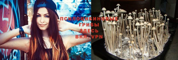 мет Михайловск
